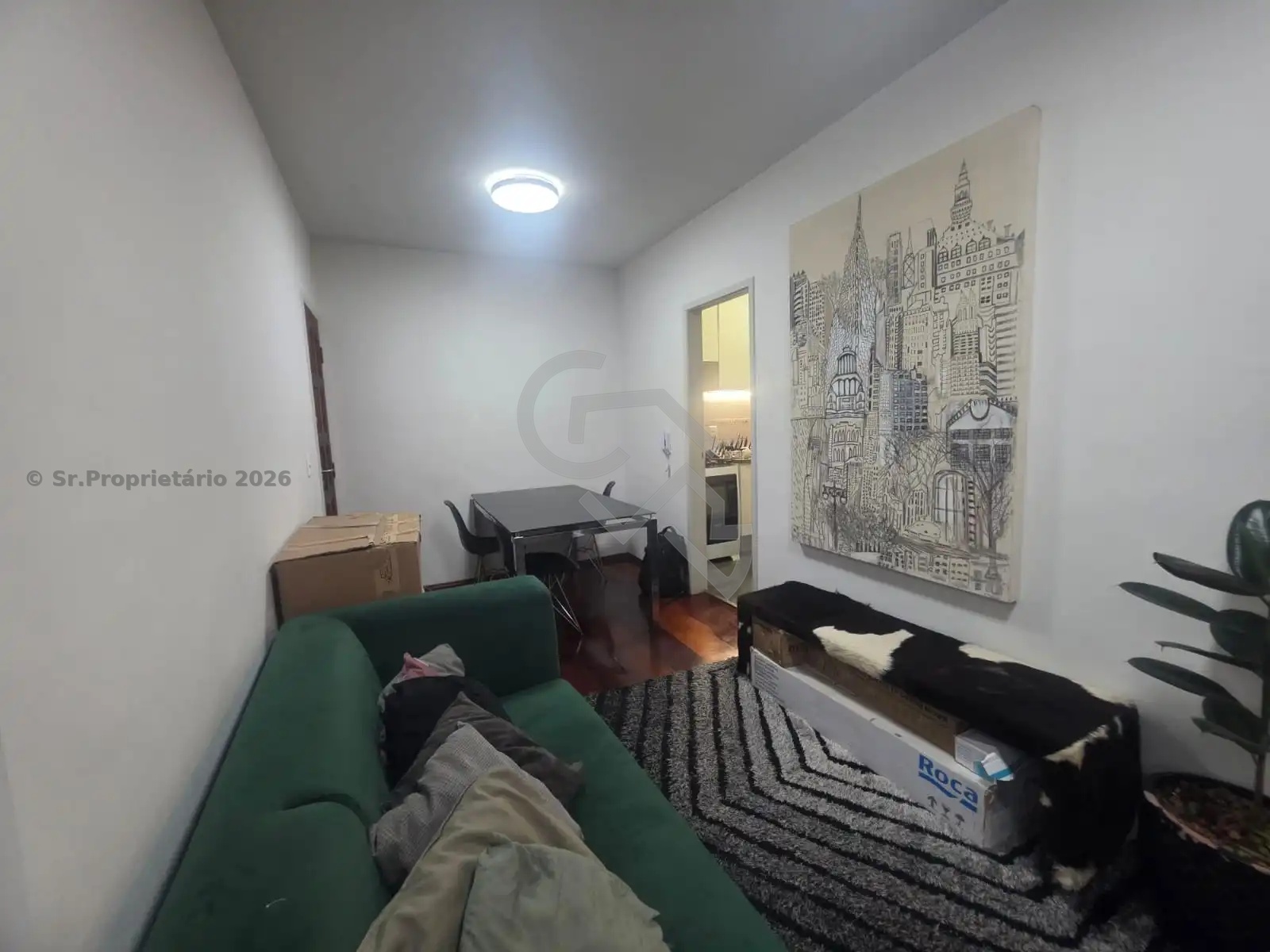 Foto 5